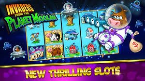 Roda French Roulette di studio xlbola dengan transmisi HD dan dealer profesional